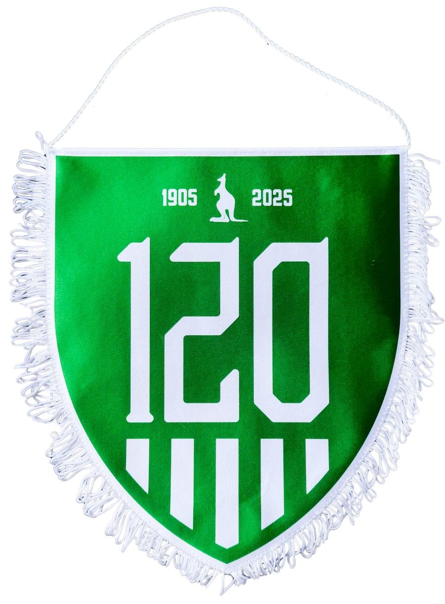 6271-vlajecka velka 120let cerna 1